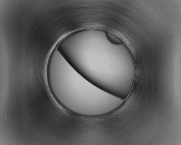 X0000088220947200705151026