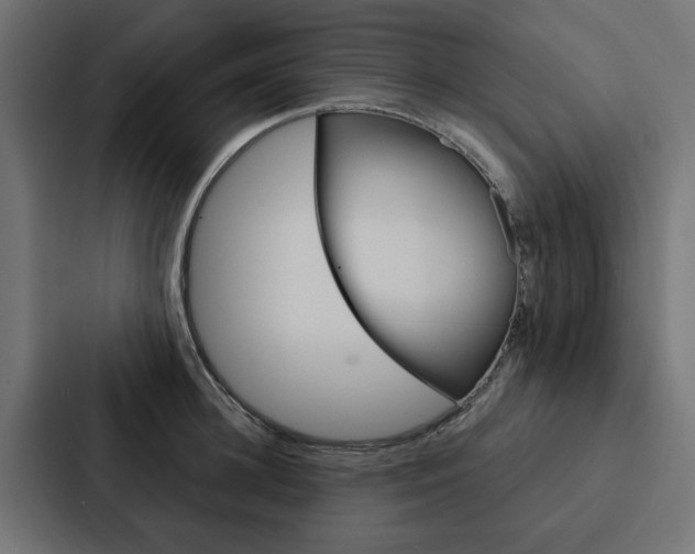 X0000088220948200705151026
