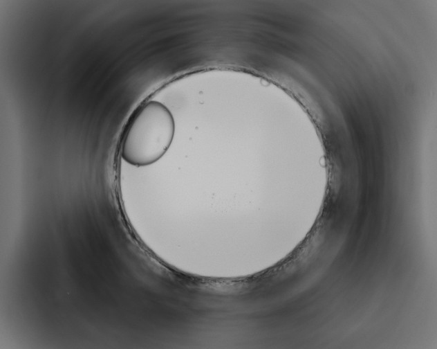 X0000088220950200705151026