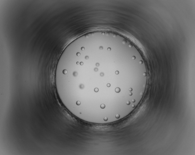 X0000088220953200705151026