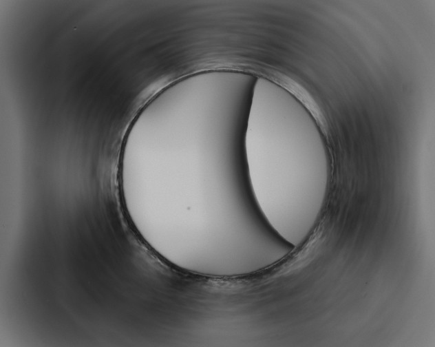 X0000088220954200705151026