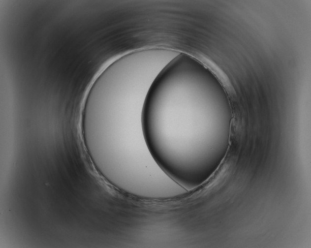 X0000088220956200705151026