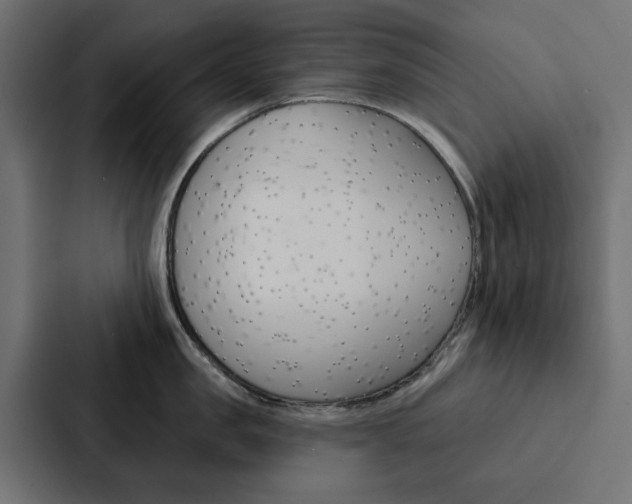 X0000088220957200705151026