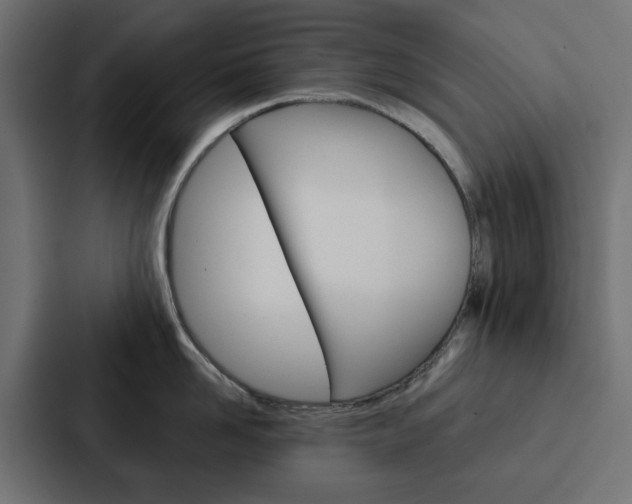 X0000088220958200705151026