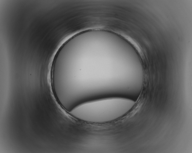 X0000088220959200705151026