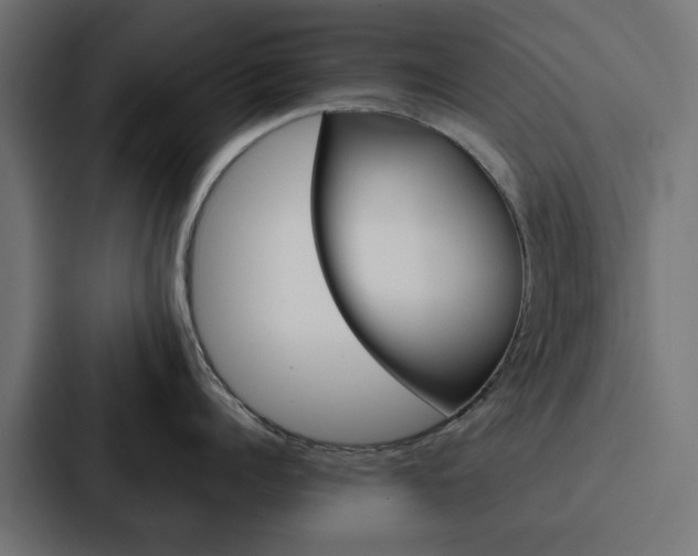 X0000088220960200705151026