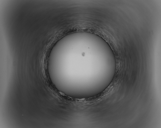 X0000088220961200705151026