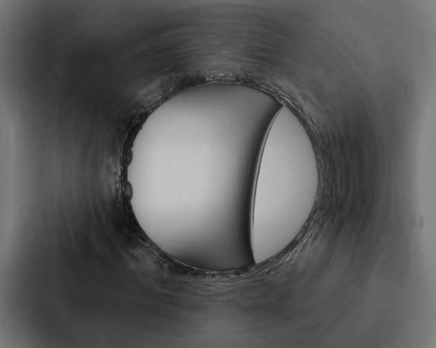X0000088220964200705151026