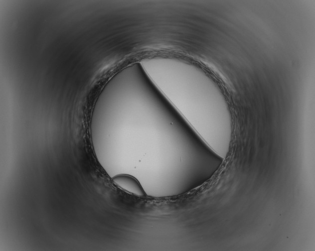 X0000088220967200705151026