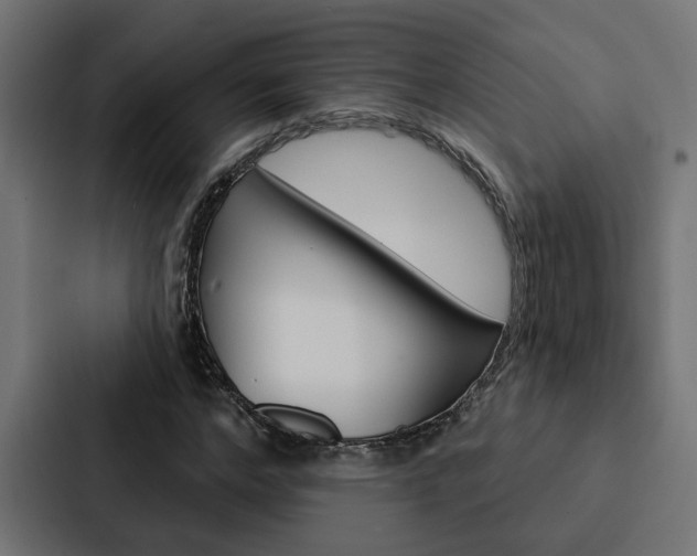 X0000088220968200705151026