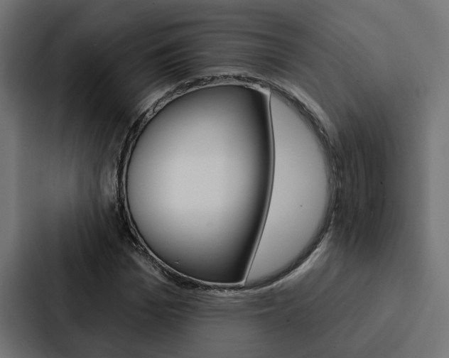 X0000088220969200705151026