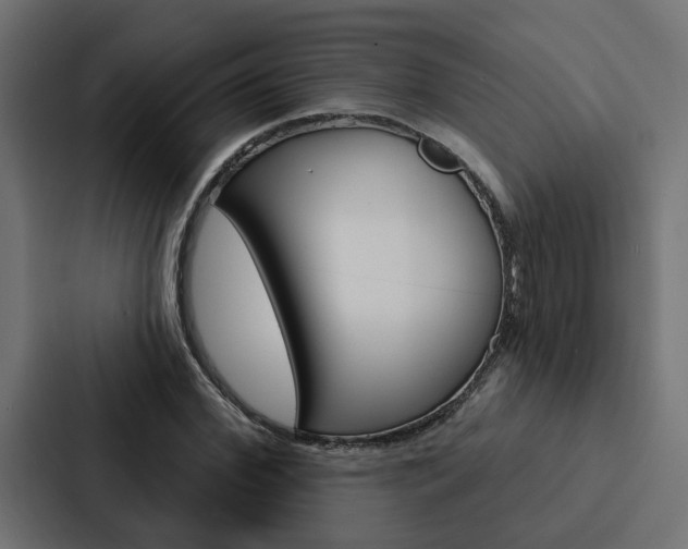 X0000088220972200705151026