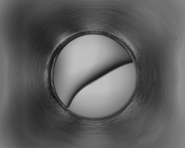 X0000088220975200705151025