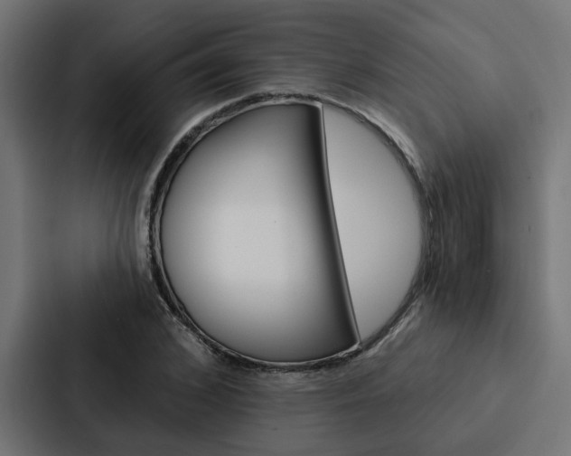 X0000088220976200705151025