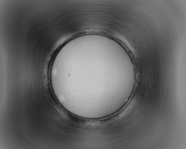 X0000088220978200705151025