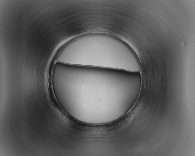 X0000088220979200705151025