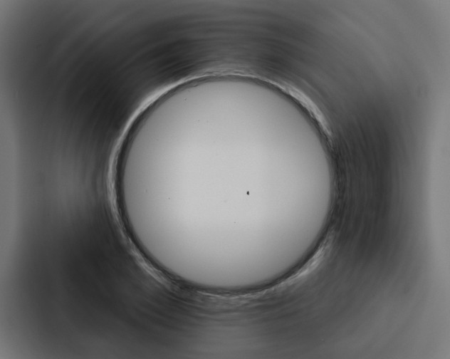 X0000088220981200705151025