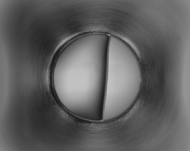 X0000088220983200705151025