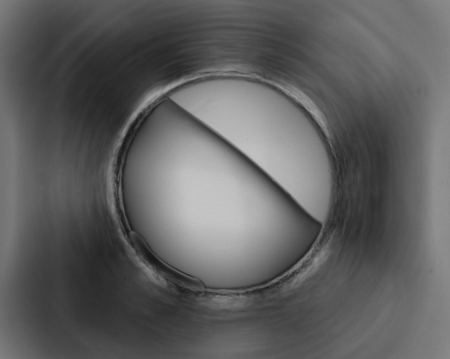 X0000088220989200705151025