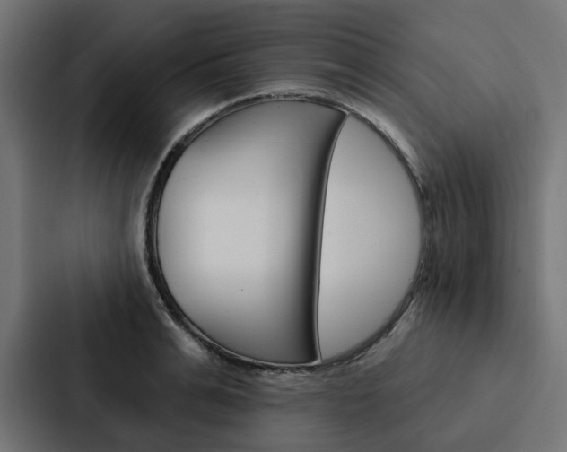 X0000088220991200705151025