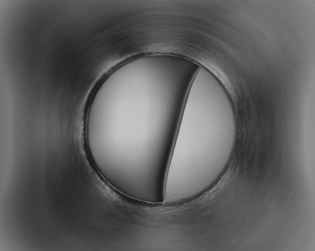 X0000088220992200705151025