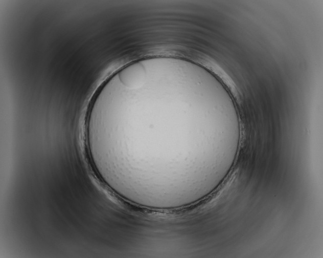X0000088220994200705151025