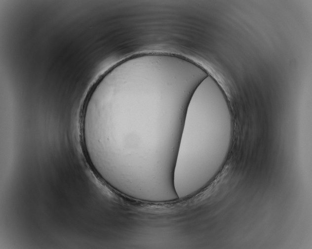 X0000088220998200705151025