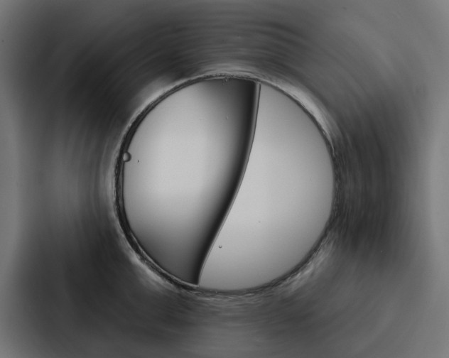 X0000088220999200705151025