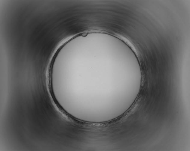 X0000088221003200705151025