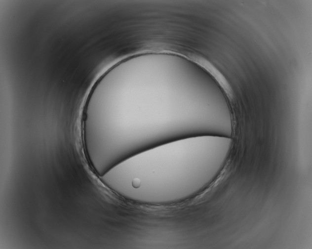 X0000088221004200705151025