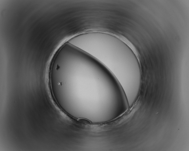 X0000088221005200705151025