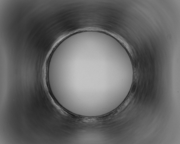 X0000088221006200705151025