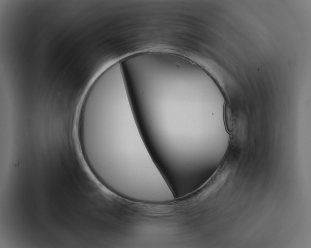 X0000088221007200705151025