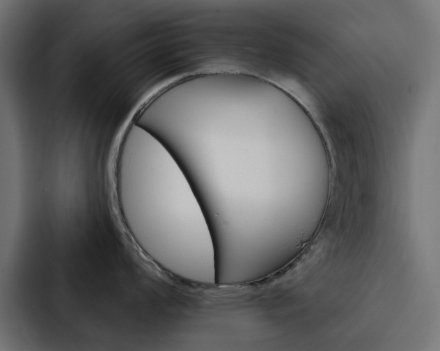 X0000088221008200705151025