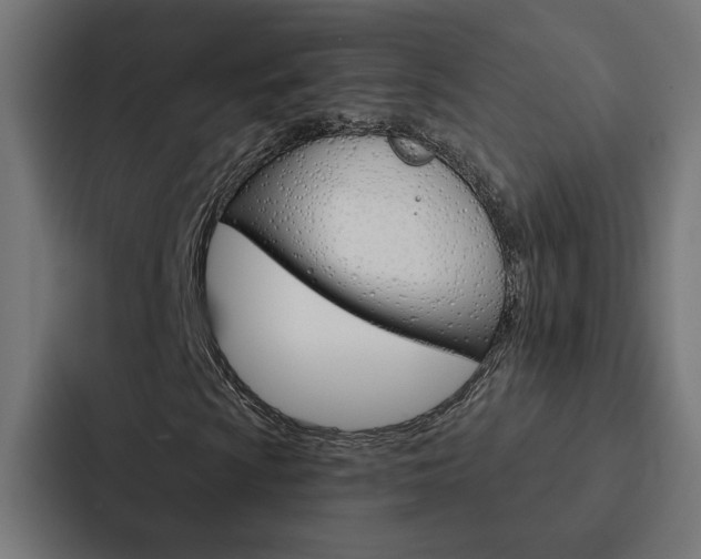 X0000088221009200705151024