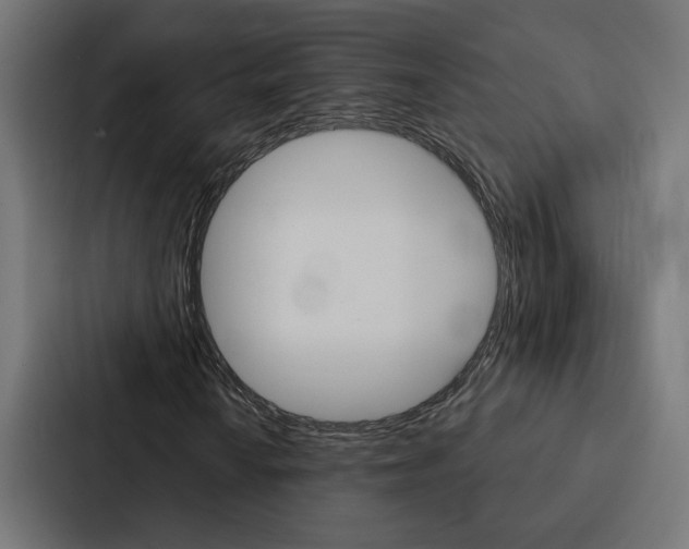 X0000088221010200705151024