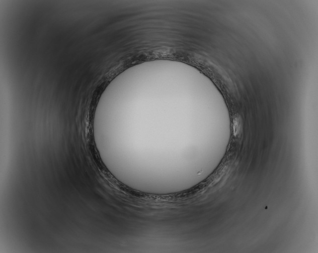 X0000088221011200705151024