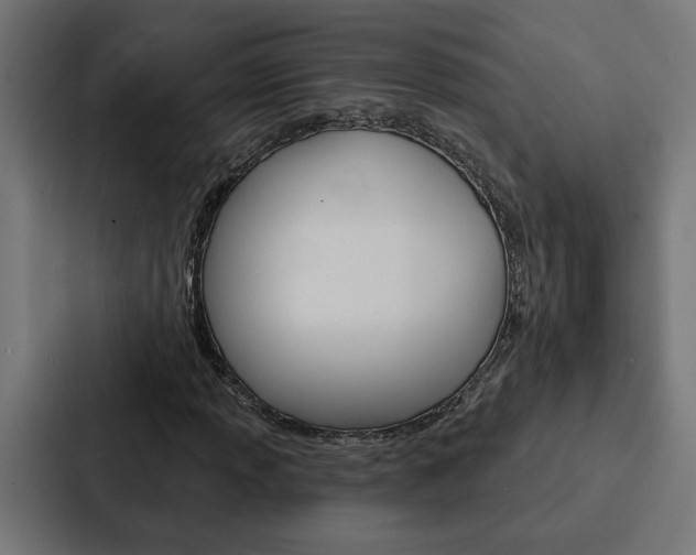 X0000088221013200705151024