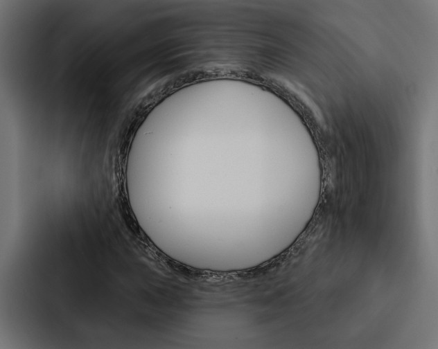 X0000088221015200705151025
