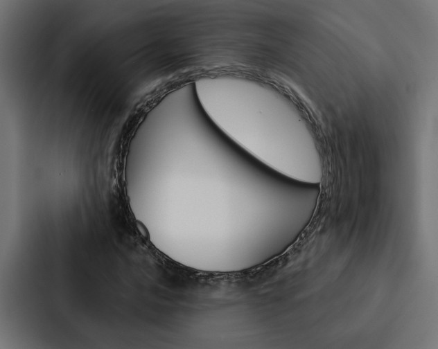 X0000088221016200705151025