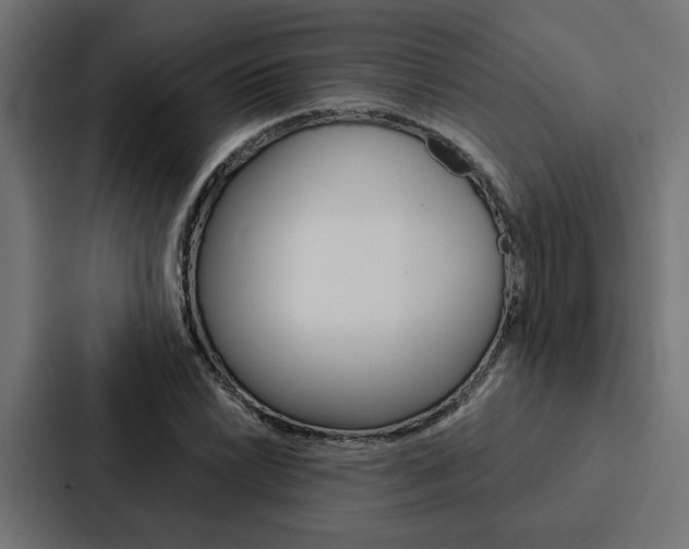 X0000088221022200705151025