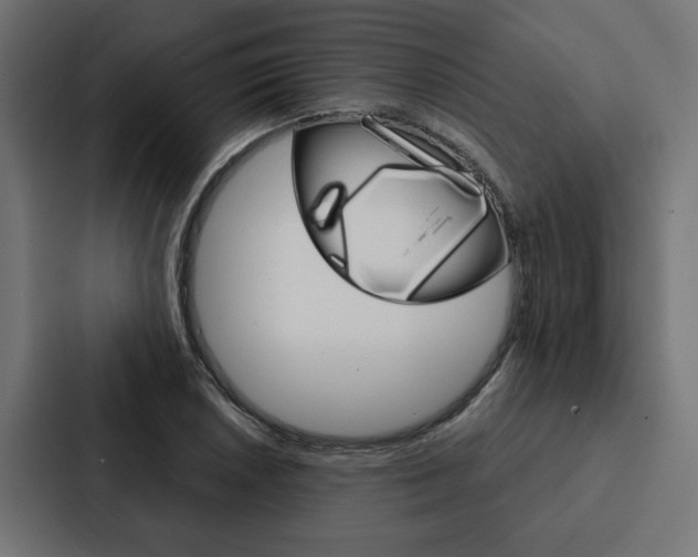 X0000088221026200705151025