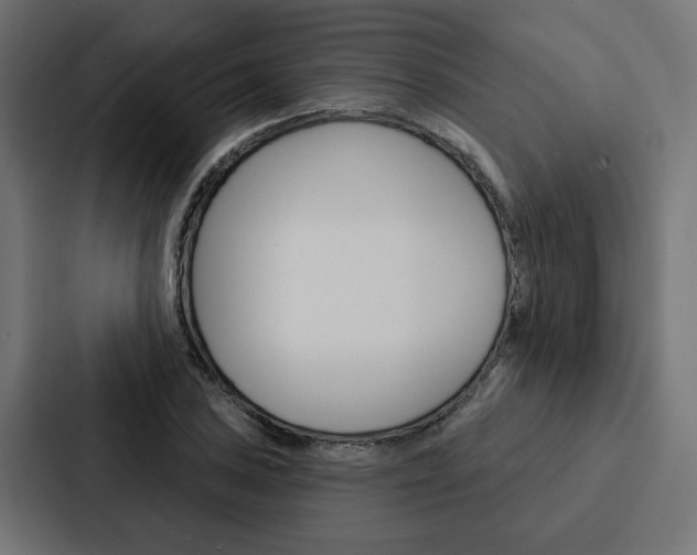 X0000088221027200705151025