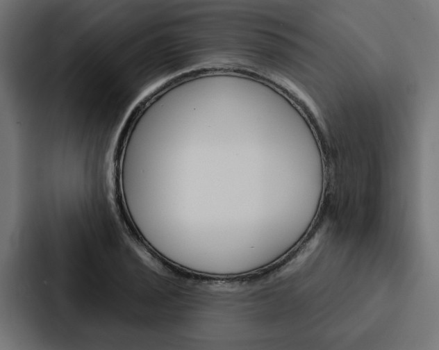 X0000088221029200705151025