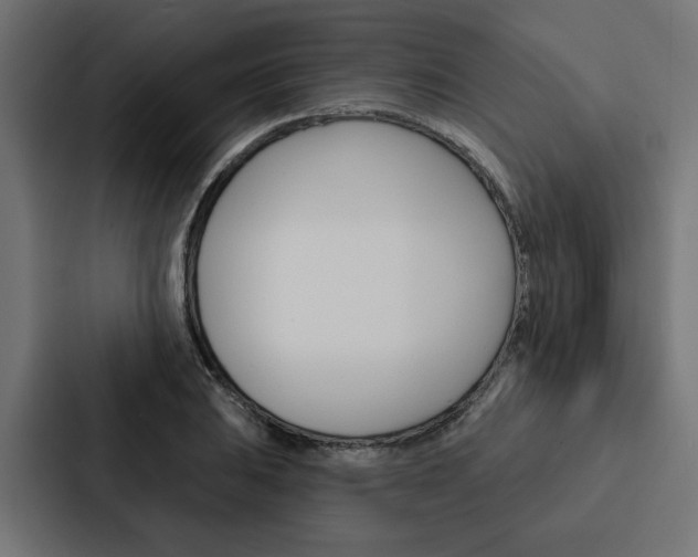 X0000088221031200705151025