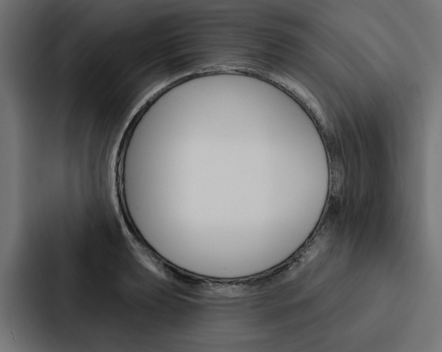 X0000088221039200705151025