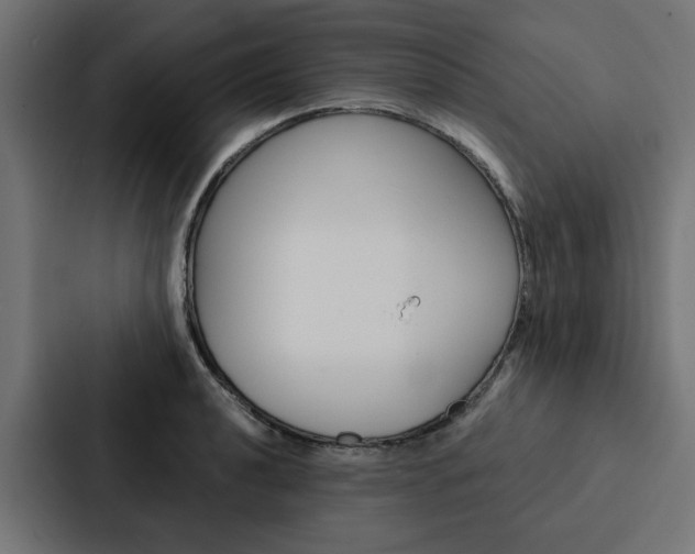 X0000088221040200705151025