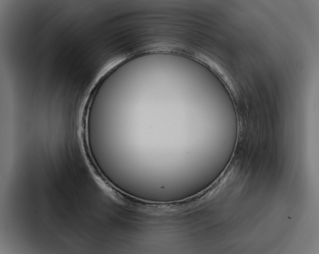 X0000088221042200705151025