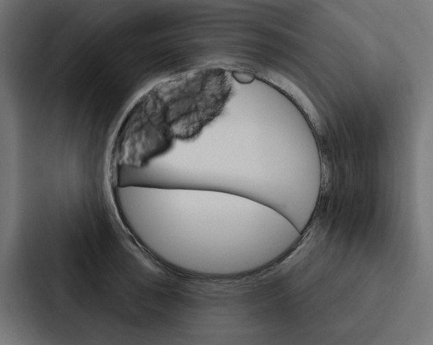 X0000088221043200705151025