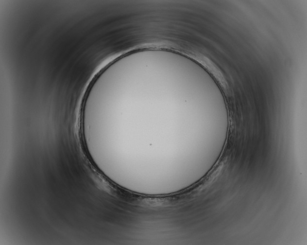 X0000088221044200705151025